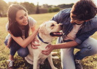 Deux adultes récompensent leur chien par des caresses