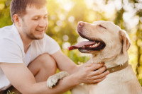 Un maître récompense son chien avec moult caresses
