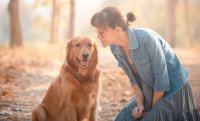 Une femme encourage son chien quand il obéit