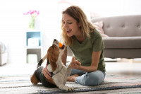 Une femme récompense son chien en jouant avec lui