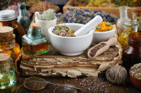 Des plantes utilisées en naturopathie