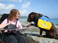 Comment un chien devient-il chien d’assistance ?