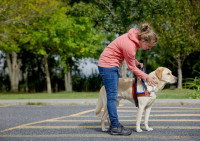 Chien de soutien avec une femme sur un parking