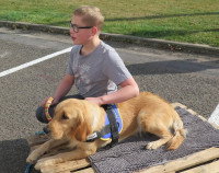 Un jeune garçon caresse un chien couché