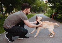 Un homme essaye de calmer son chien