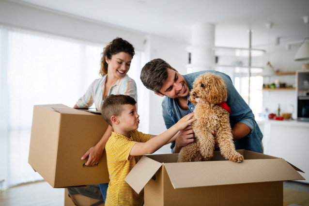 Le déménagement, un évènement stressant pour le chien