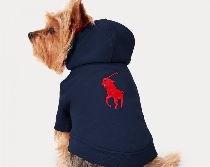 Idée cadeau : Un vêtement de mode pour chien