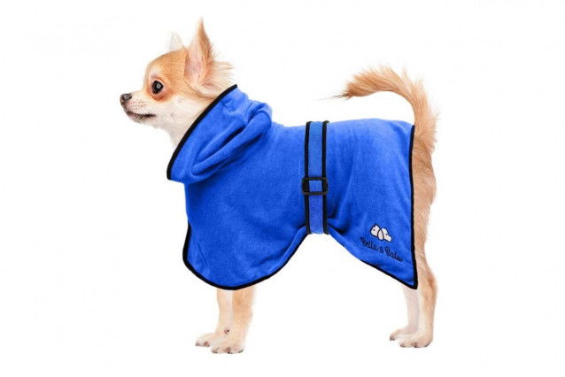 Un chien dans un peignoir pour chien