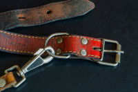 Vieux collier pour chien en cuir rouge