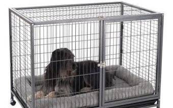Cage d'intérieur pour chien : mettre son chien en cage dans la maison