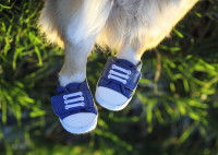 Les lacets