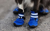 La fermeture Velcro