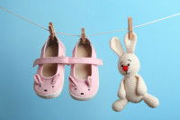 L’entretien des chaussures pour chien
