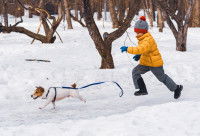 Un garçon court après son chien qui s'enfuit dans la neige