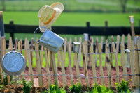 Une clôture en bois installée tout autour d'un potager