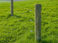 Une barrière électrique installée dans un jardin