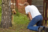 Un homme observe un chien à travers un grillage