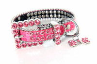 Donner un look à son chien et personnaliser son apparence