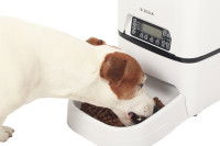 Comment habituer son chien au distributeur de nourriture ?