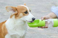 Le distributeur d'eau portable
