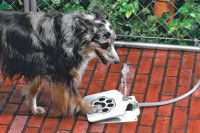 La fontaine à eau d’extérieur à pédale