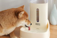 Les avantages d’un distributeur ou d’une fontaine à eau pour chien