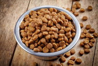 Une gamelle pour chien remplie de croquettes