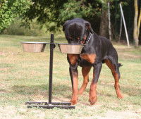 La gamelle surévelée