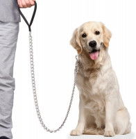 Un chien tenu avec une laisse en métal