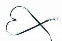 Une longe pour chien enroulée en forme de coeur