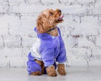 Un petit chien avec un pyjama violet