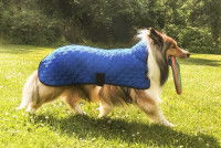 Un Colley avec un frisbee dans la gueule porte un manteau rafraichissant Derby Originals