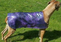 Un chien portant une cape rafraichissante Fashion Furward Dog