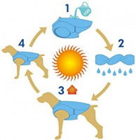 Schéma de fonctionnement d'un manteau rafraichissant pour chiens