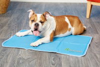 Un Bouledogue Anglais allongé sur un tapis rafraîchissant