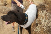 Un mateau refroidissant pour chien mouillé avec de l'eau