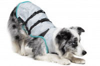 Un Border Collie porte un manteau rafraîchissant pour chien Medical Pet Shirts