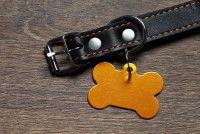 Un collier pour chien avec une médaille en forme d'os
