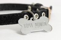 Un collier avec une médaille pour chien gravée