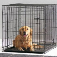 Habituer le chien à rester dans sa cage