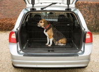 Cage métallique ou caisse de transport en métal : que choisir ?