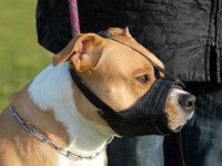 La muselière en nylon