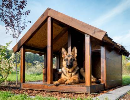 Comment construire une niche d'intérieur pour son chien ?