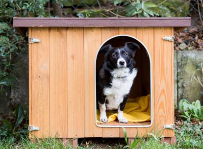 Cage d'intérieur Ferplast Dog Fort pour chien