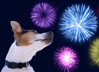 La peur des pétards