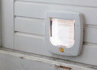 Une chatière pour chien sur une porte