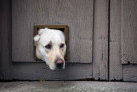 Le type de fonctionnement