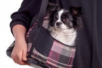 Le sac de transport à main ou en bandoulière pour chien