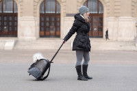 Le sac de transport à roulettes pour chien