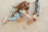 Un chien et une petite fille en train de manger sur de la moquette